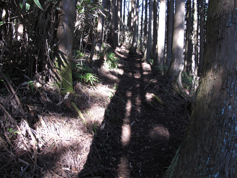 20161216hike (58)